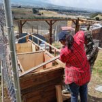 d3892911-9db1-44e0-a530-f01c1be5a67f