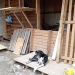 e81811a9-7a21-4ef2-b30f-8c83942e8797